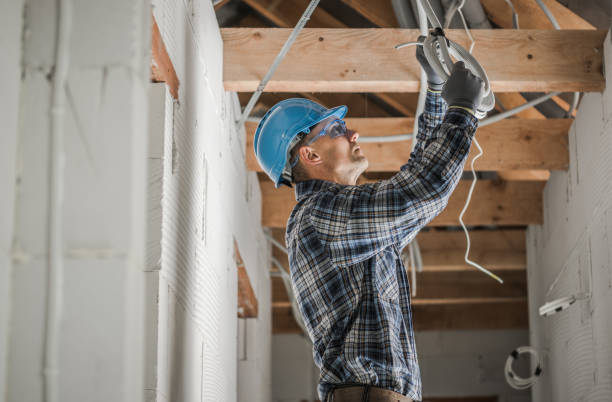 Best Electric Panel Repair  in Dewitt, AR